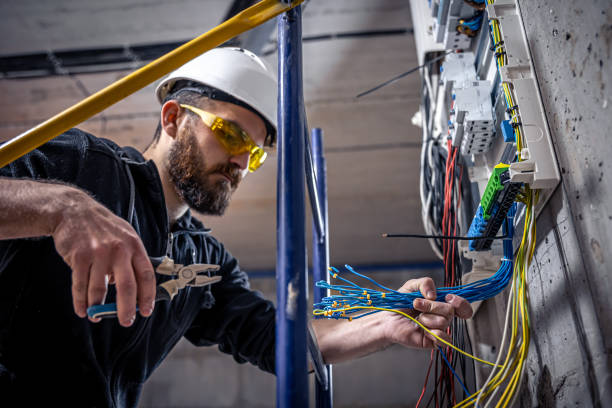 Best Electric Panel Repair  in Fairmont City, IL